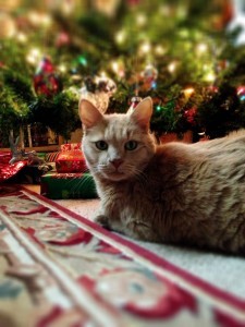 File Nov 19, 4 59 29 PM