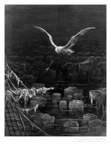 DoreArrowAlbatross