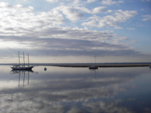 Ships at dawn, anchored near Cumberland Island.