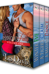 AshwoodFallsBox_final_small