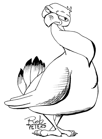 Turkey13