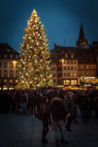 (Photographer Claude TRUONG-NGOC, Wikimedia Commons)