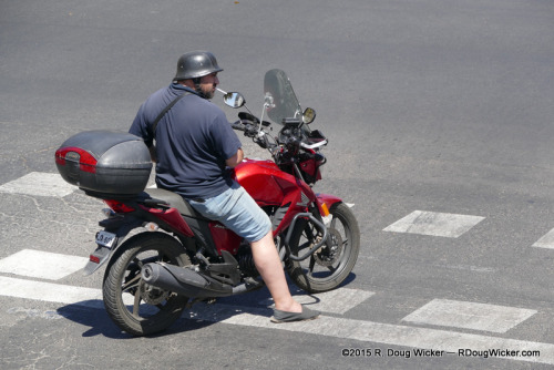 Born to Ride . . . in shorts!