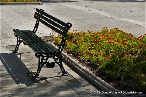 Benched for the Season