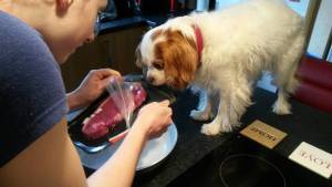 12088245_10153787639741424_258014553768030712_n