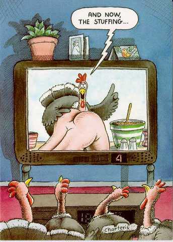turkey revenge