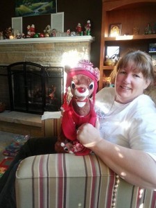 Rudolph stuffed animal