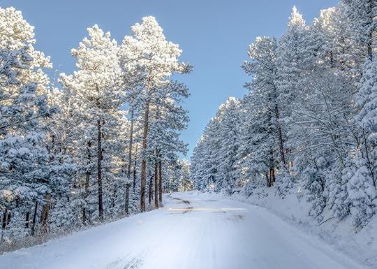 Winterforest