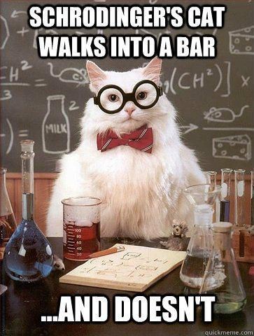 Smardy Kat 05