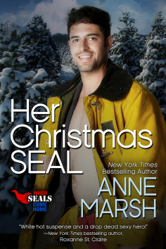 AnneMarsh_HerChristmasSEAL_800