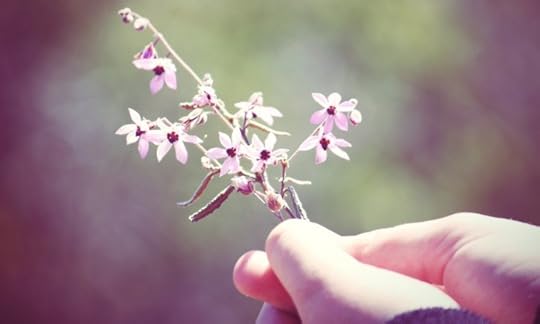 hand-flowers-macro-mood-colors-photo-desktop-background-694x417