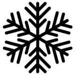 bristled snowflake