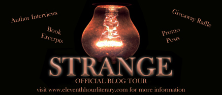 blog tour banner