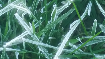 frost