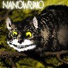 nanowrimo-cheshire-cat