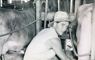 Ted 1954