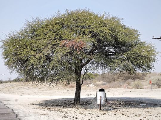 Not an Inviting Rest Stop with Poop everywhere