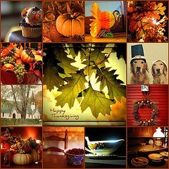 5205373485_6907afca50_m