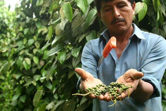 peru-coca-farmer