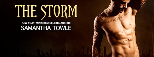 the storm banner
