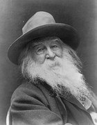walt-whitman-391107__180