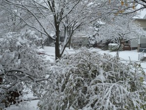 Wisconsin, November 2015