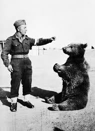 Now that there bear has talent!