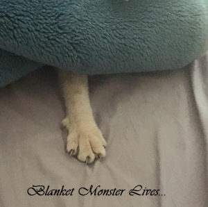 blanket monster