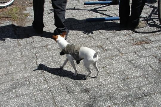 DSC08082