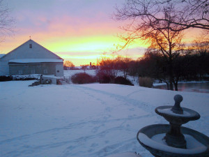 winterbarn