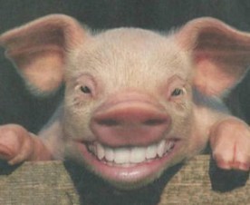 project smile