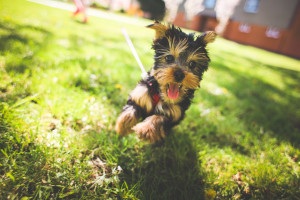 You know who could care less? This little guy. But. It's. So. Hard. Squirrel!