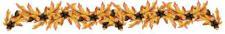 oak banner