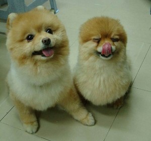 Smiles