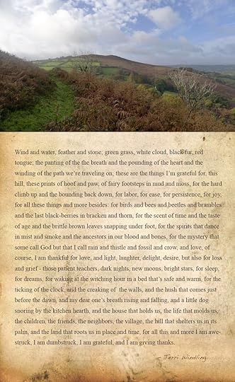 My annual Thanksgiving poem, reminding me of all that I have to be grateful for. Health issues prevent me from making my usual climb to the top of Nattadon Hill this year, but in my imagination I am on those trails, Tilly bounding just ahead....