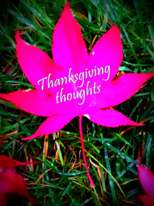 thanksgiving thoughts