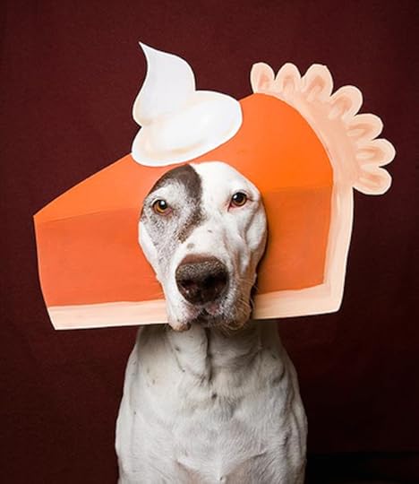 all-puppies.com