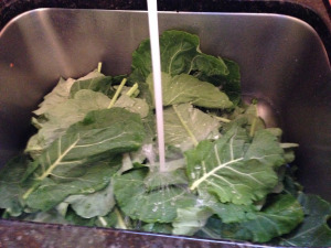 washing-collards