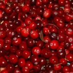 cranberries-957583_1920