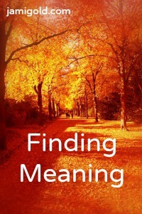 Path through autumn leaves with text: Finding Meaning