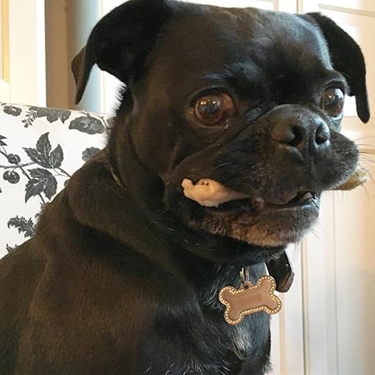 11267901_1678347632406088_1715078394_n