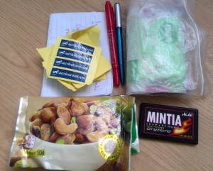 Minimalist Packing List for World Travel - Survive Travel - Shoulder Bag front compartment