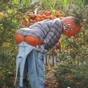 Pumpkin