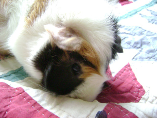 Drawing Mortemer has the opposite effect of all the drawing in Drawn to the Grave, well, sort of, I remember him better but I still get older. 