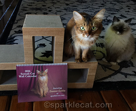 I always have a surprise or two... or if I don't, Binga does!