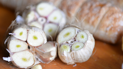 GarlicBBP_1368