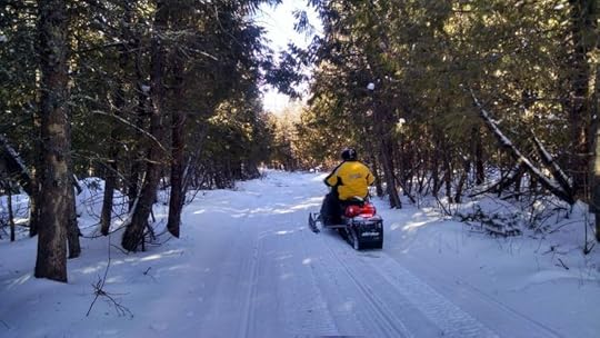 snowmobile in the woods: 