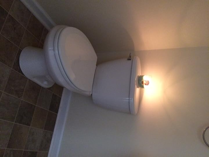 Now my bathroom smells like cinnamon spice and poop. 