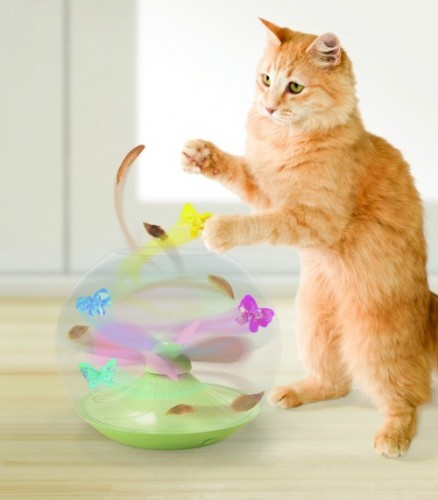 Flitter-Fly-cat-toy