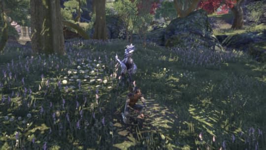 My Bosmer sorcerer hides in the shadows in Elder Scrolls Online